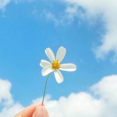 加拿大pc试玩平台