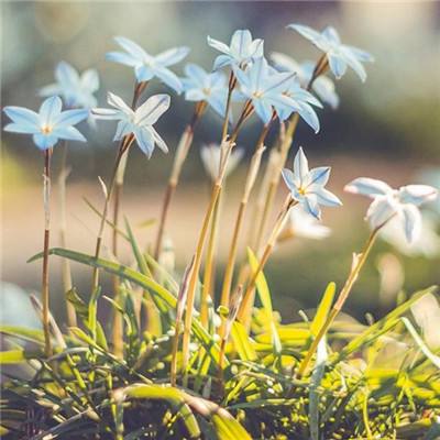 im电竞官网手机app下载截图