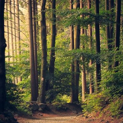 欢乐斗牛牛截图