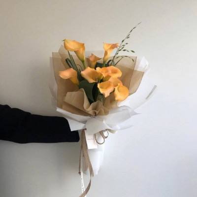 澳门捕鱼平台网页游戏在线app官方入口