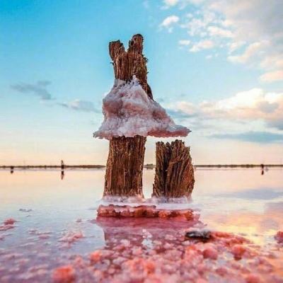 江南平台app下载安装手机app下载