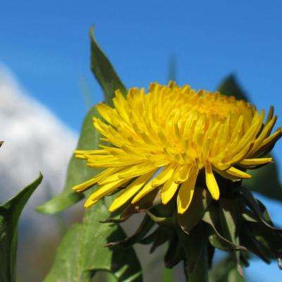 亚博棋牌下载手机版