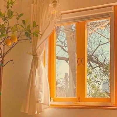 澳门2023全年免费资料大全